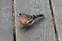 P1011692