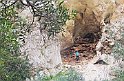 GOPR3263