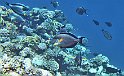 2017_0317_103747_286