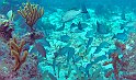 P1140254