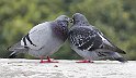P1260480