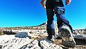 G0565782